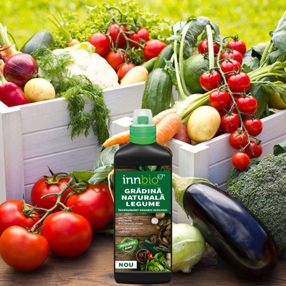 BIO ÎNGRĂȘĂMÂNT PENTRU LEGUME 1 L